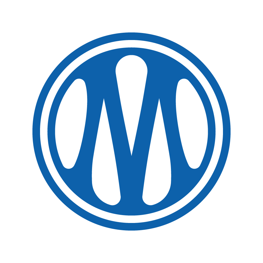 OLYMPIQUE DE MARSEILLE